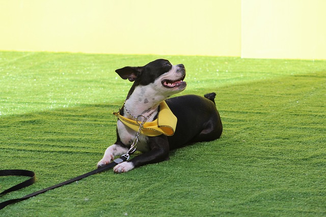 每一个支持